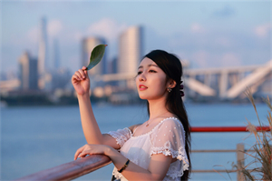 利用互联网提升上海农业市场信息透明度